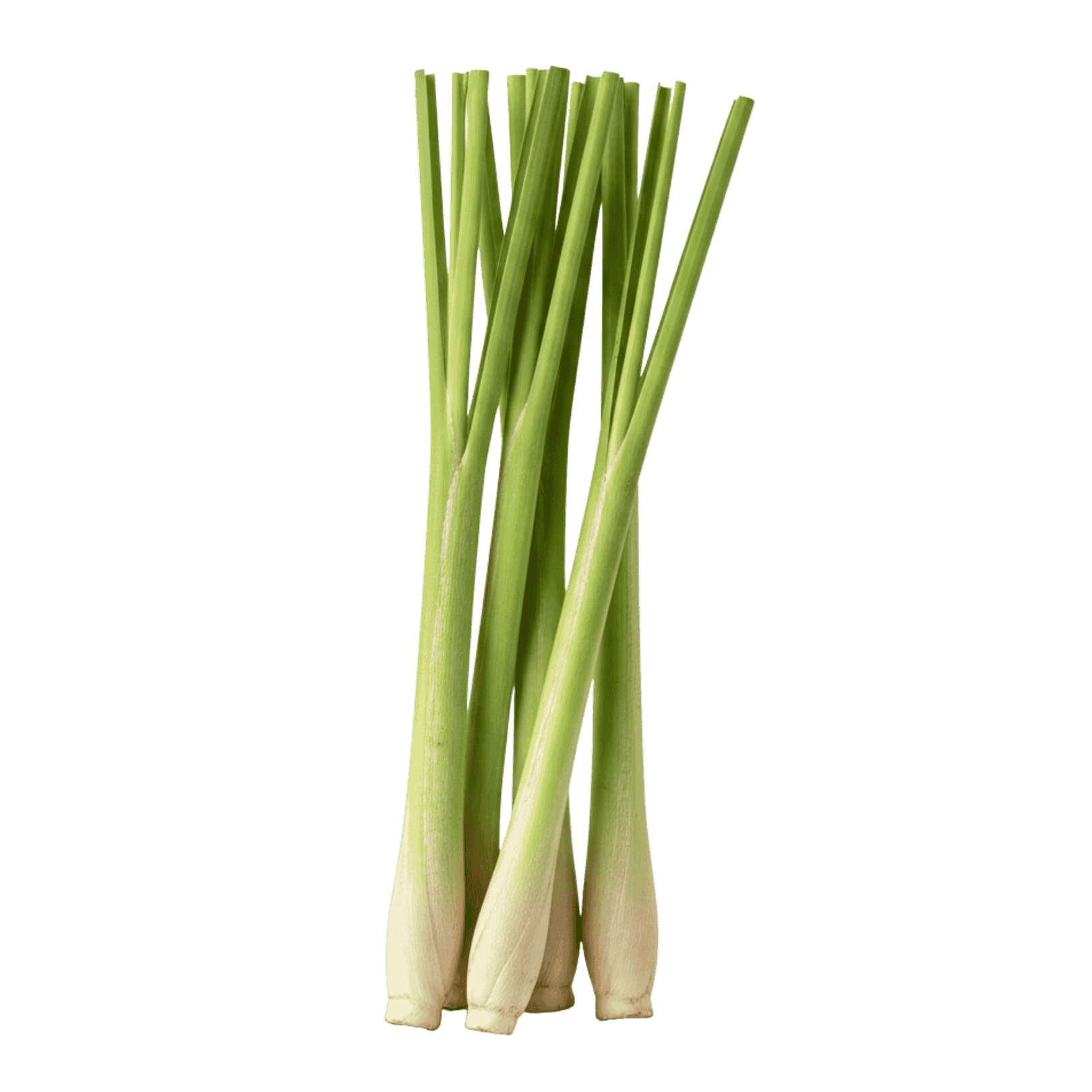 Lemongrass