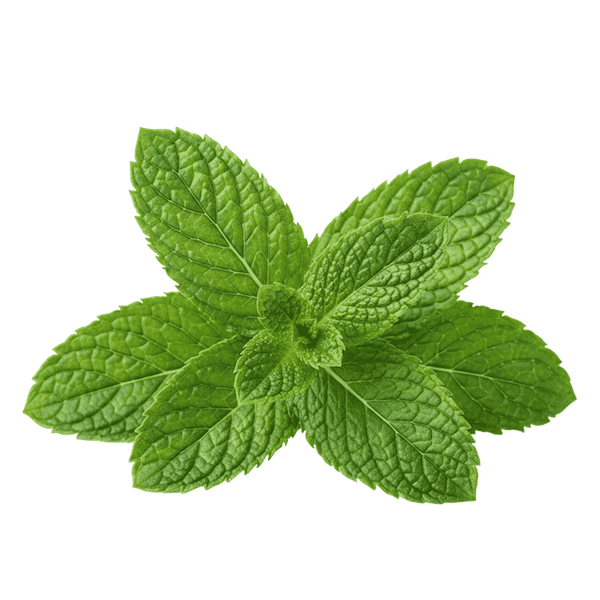 Peppermint